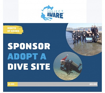 Поддерживаем инициативу в рамках проекта AWARE - Adopt a Dive Site™