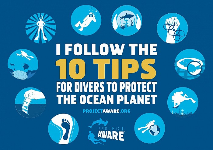 10 Правил для дайверов по защите мирового океана